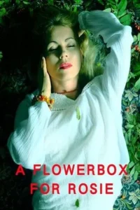 18 a flowerbox for rosie 2021