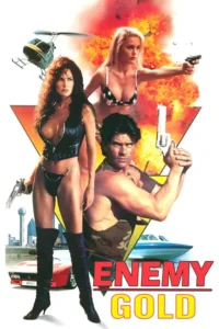 18 enemy gold 1993