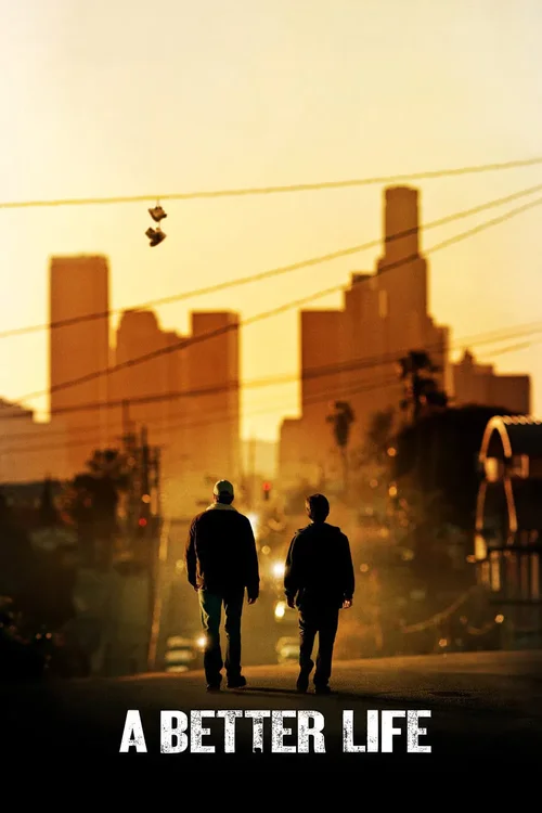 a better life 2011