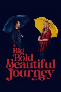 a big bold beautiful journey 2025