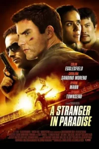 a stranger in paradise 2013