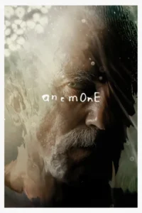 anemone 2025