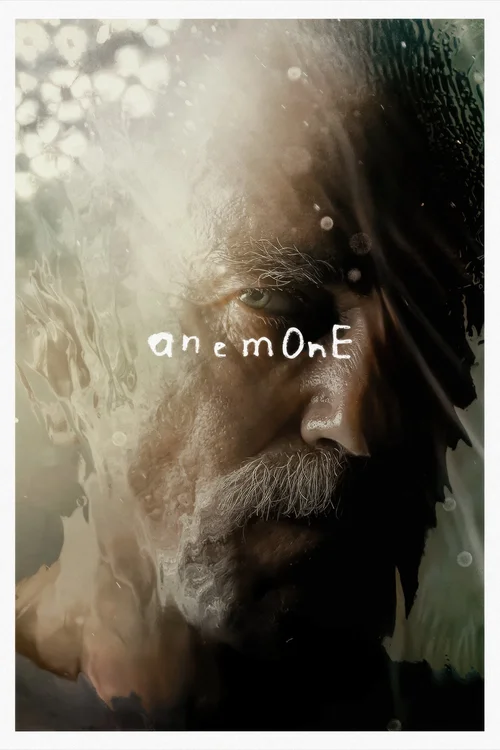 anemone 2025