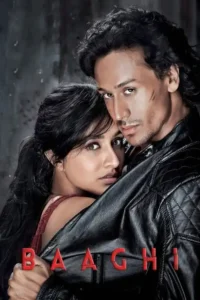 baaghi 2016