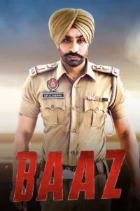baaz 2014