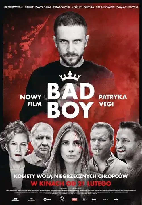 Download Bad Boy (Season 1) Dual Audio {Hindi English} Netflix Series 480p | 720p | 1080p WEB DL 15 bad boy season 1