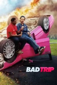 bad trip 2020