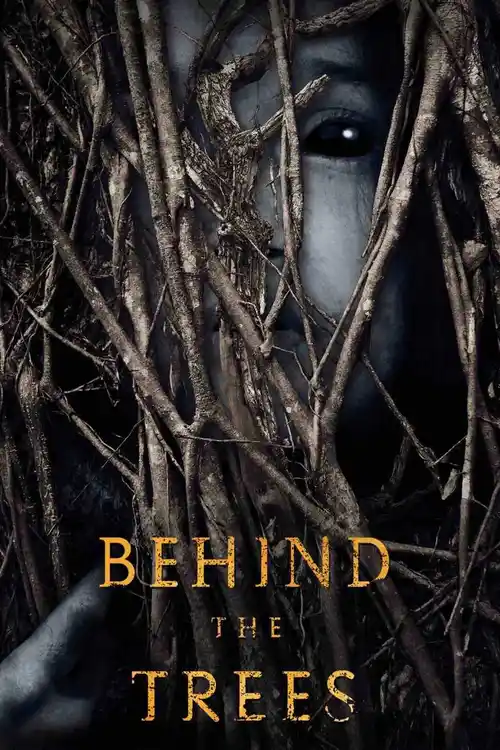 behind the trees 2019