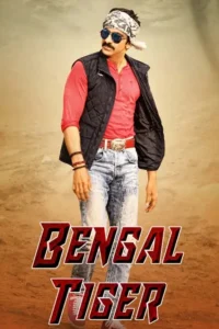 bengal tiger 2015