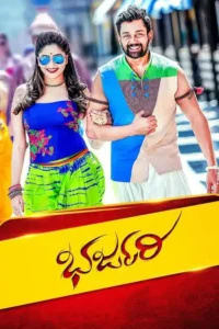 bharjari 2017
