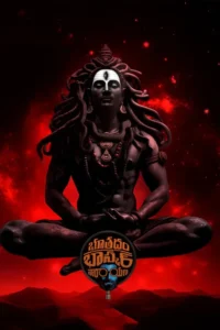 bhoothaddam bhaskar narayana 2024