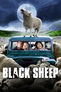 black sheep 2006