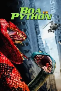 boa vs. python 2004