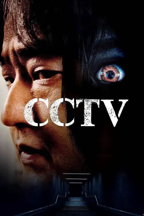 cctv 2021