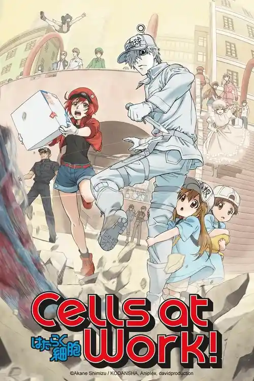 Download Cells at Work! (Season 1) Multi Audio {Hindi English Japanese} Anime Series 480p 720p & 1080p Blu Ray 13 cells at work season 1