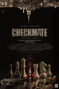 checkmate 2024