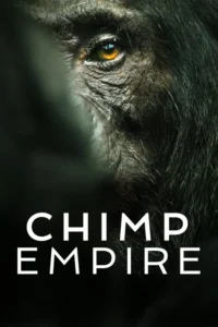 chimp empire 2023