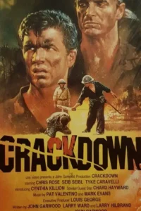 crackdown 2020