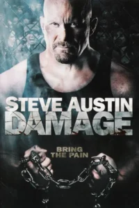 damage 2009