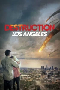 destruction los angeles 2017