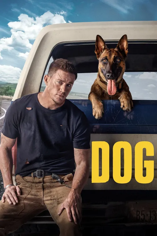 dog 2022