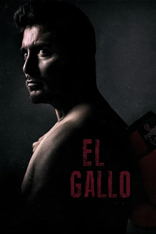 el gallo 2018
