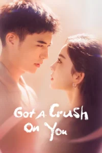 got a crush on you season 1
