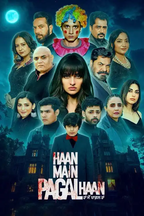 haan main pagal haan 2025