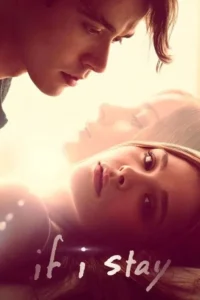 if i stay 2014