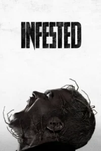 infested spiders vermines 2023