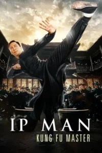 ip man kung fu master 2019