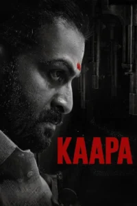 kaapa 2022