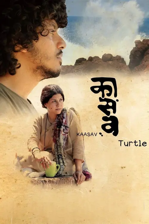kaasav turtle 2017