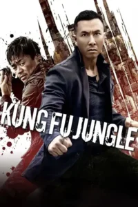kung fu jungle 2014