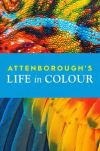life in colour season 1