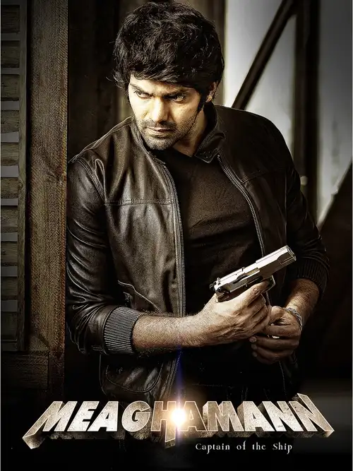 meagamann 2014