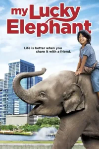 my lucky elephant 2013