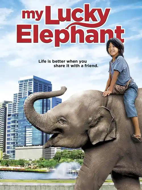 my lucky elephant 2013