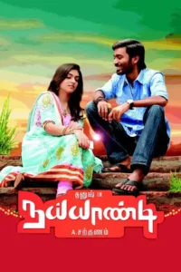 naiyaandi sadak chaap 2013