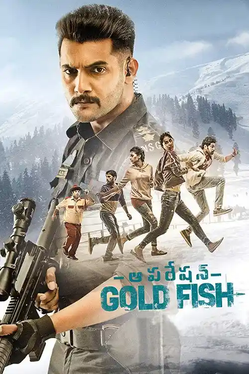 operation gold fish 2019