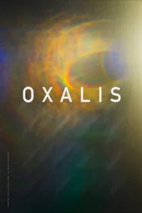 oxalis bonded in blood 2018