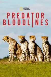predator bloodlines 2021