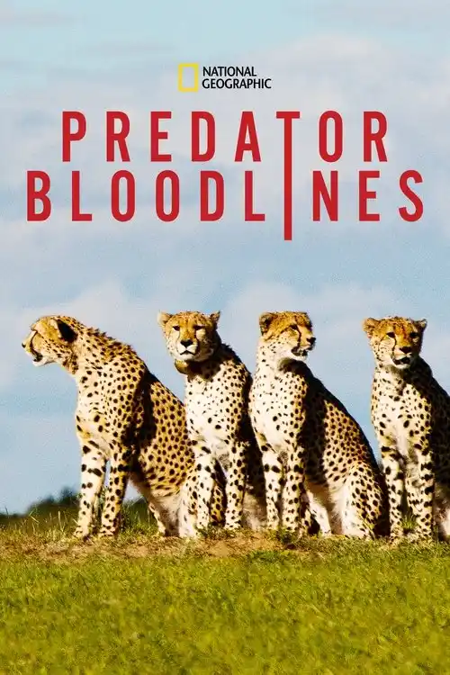 Download Predator Bloodlines (2021) Season 1 Hindi Complete DSNP WEB Series 480p | 720p HDRip 5 predator bloodlines 2021