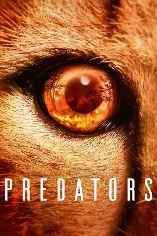 Download Predators – Netflix Original (2023) Season 1 Complete Dual Audio {Hindi English} 720P | 1080P WEB DL 24 predators netflix original 2023