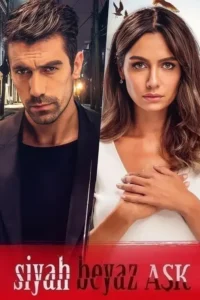 price of passion aka black and white love 2018