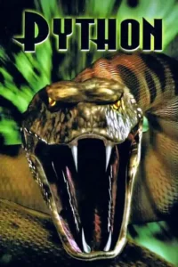 python 2000