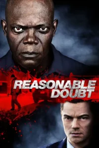 reasonable doubt 2014