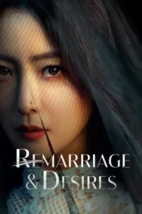 remarriage and desires netflix original 2022