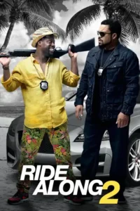 ride along 2 2016