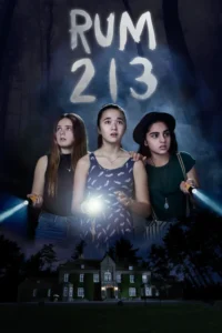 rum 213 2017